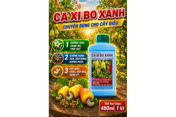 CA XI BO XANH-Chuyên Dùng Cho Cây Điều (NGN)
