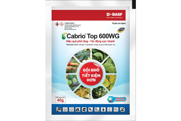CabrioTop 600WG