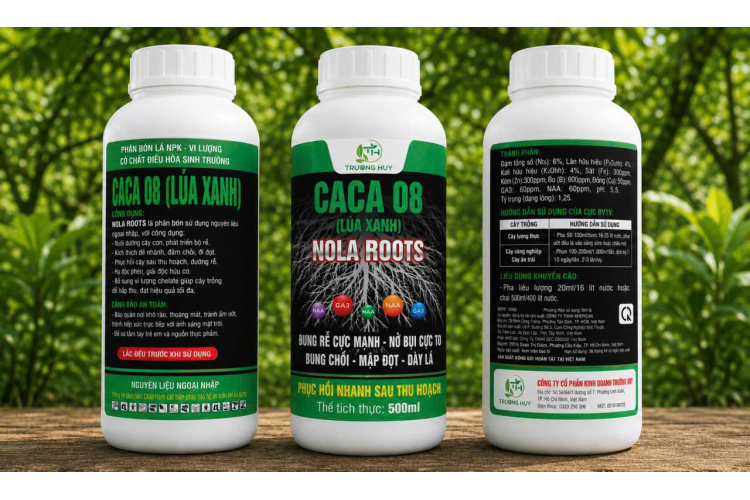 PHÂN BÓN LÁ NPK - VI LƯỢNG CÓ CHẤT ĐIỀU HÒA SINH TRƯỞNG CACA 08 (LÚA XANH) 