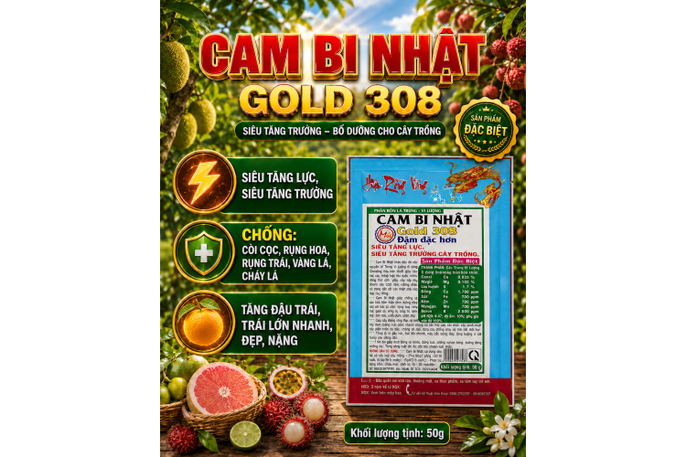 CAM BI NHẬT GOLD 308 (NGN) Gói 50g