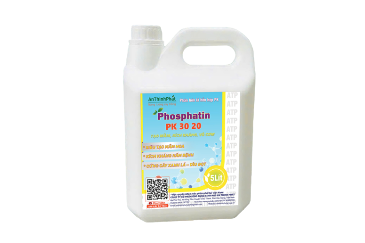 CAN PHOSPHATIN ATP