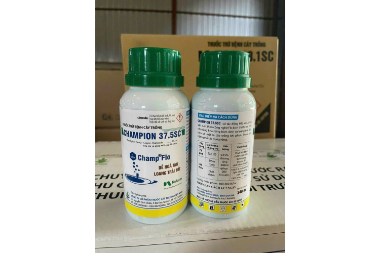 CHAMPION 37.5SC 240ML