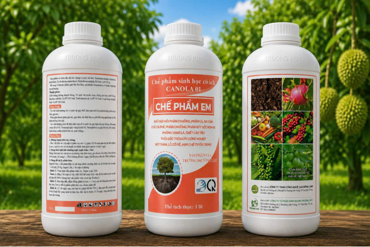 CHẾ PHẨM SINH HỌC CANOLA 01 - CHẾ PHẨM EM