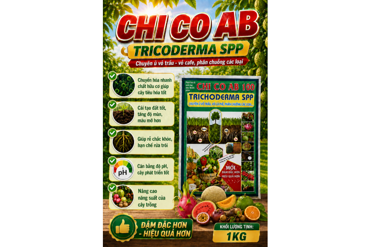 Phân bón lá CHI CO AB 100 - TRICHODERMA SPP (NGN)