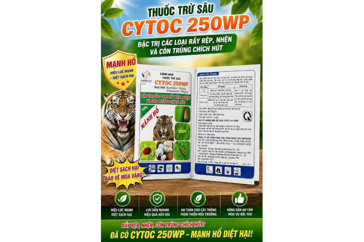 THUỐC TRỪ SÂU CYTOC 250WP