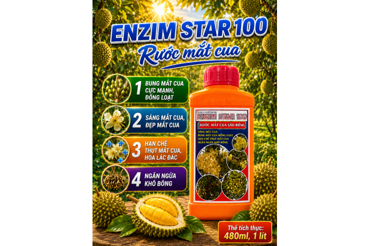 Phân bón lá ENZIM STAR 100 Rước Mắt cua (NGN)