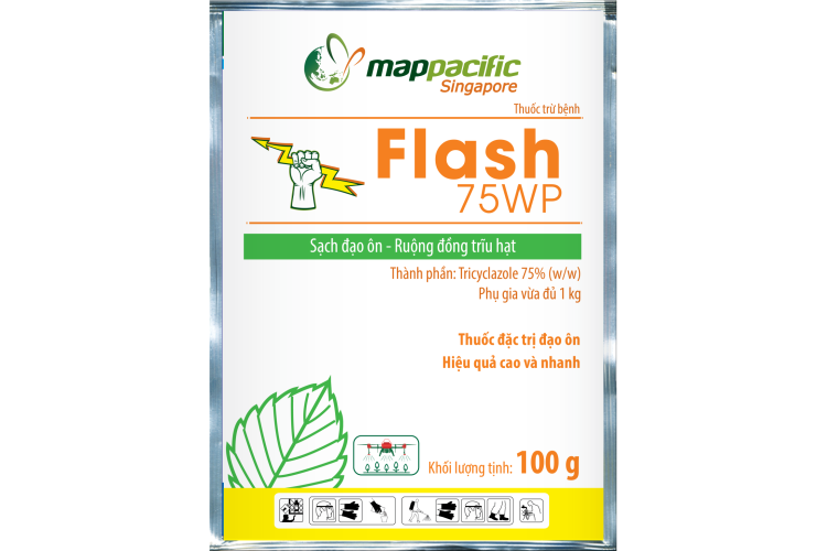 Flash 75WP