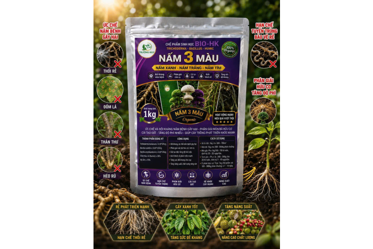 CHẾ PHẨM SINH HỌC BIO-HK TRICHODERMA - BACILLUS - HUMIC NẤM 3 MÀU (GÓI 1 KG)