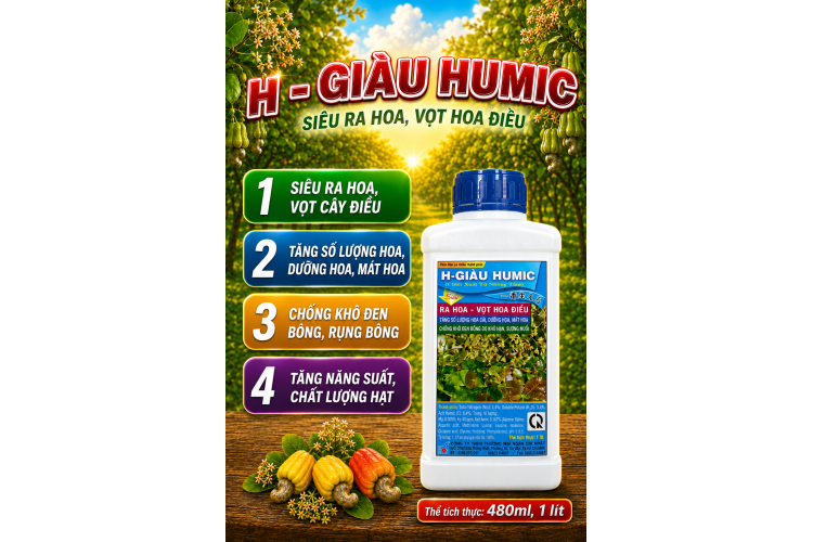 H GIÀU HUMIC Siêu ra hoa Vọt hoa Điều (NGN)