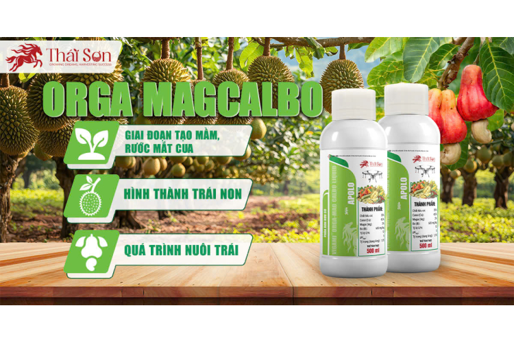 VIGAMI® ORGA-MAG CALBO LIQUID - APOLO