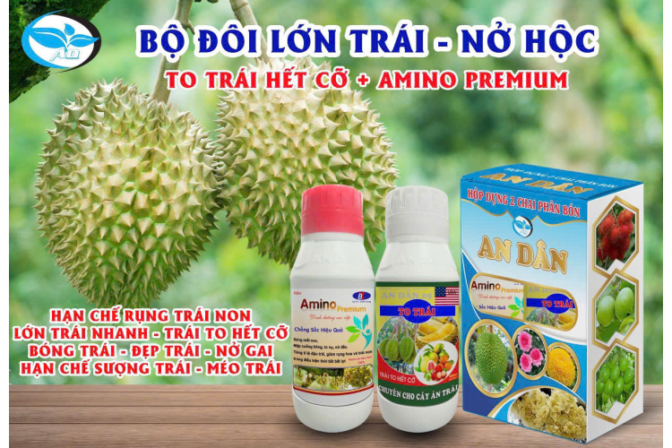 BỘ ĐÔI TO TRÁI + AMINO PREMIUM AN DÂN 