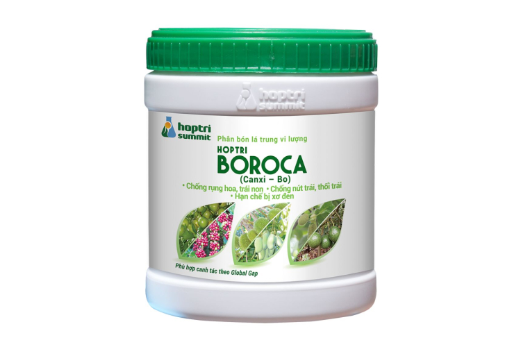 BOROCA HỢP TRÍ