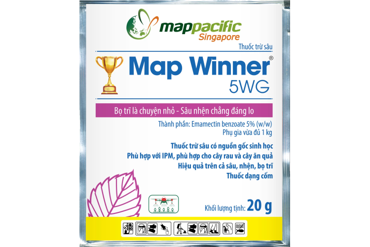 Map Winner 5WG