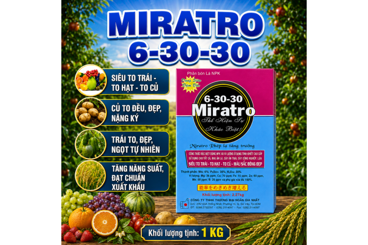 Phân bón Lá NPK MIRATRO 6-30-30 (NGN)