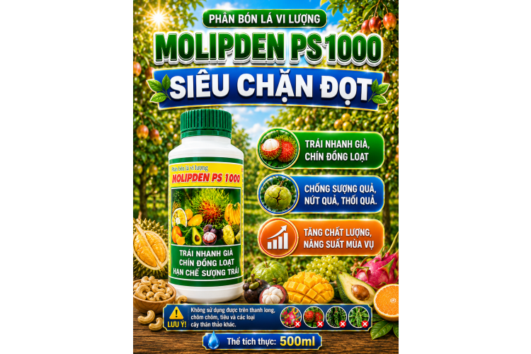 Phân bón lá vi lượng MOLIPDEN PS 1000 (NCP)