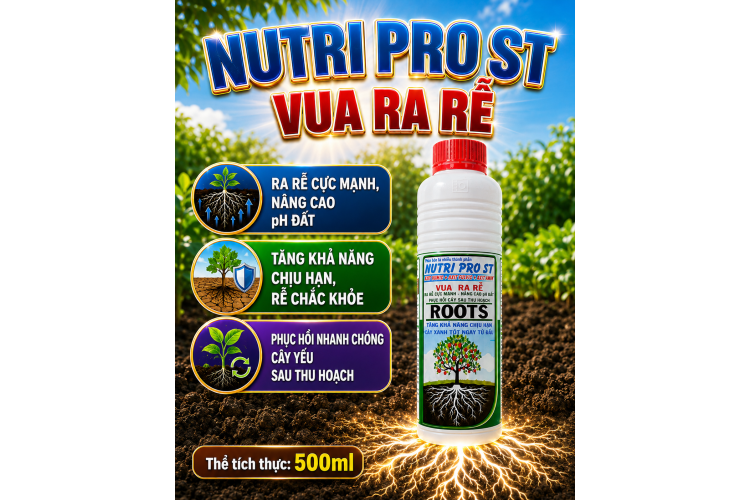 NUTRI PRO ST - VUA RA RỄ (NCP)