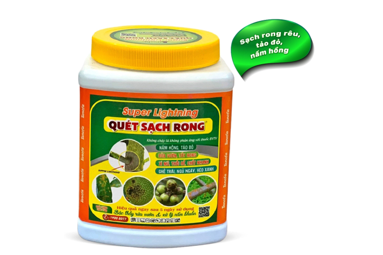 QUÉT SẠCH RONG 3 TỐT