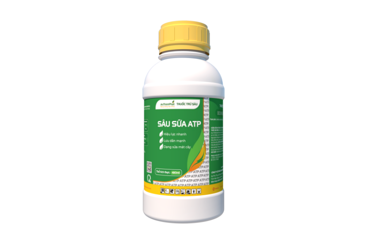 Sâu sữa ATP 