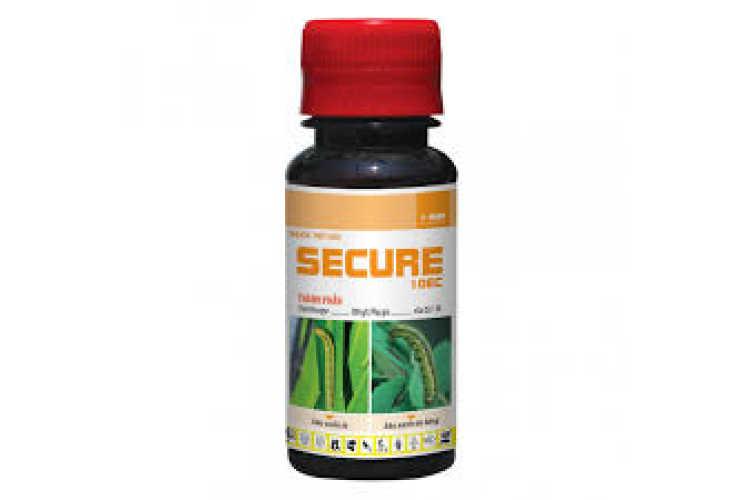 SECURE HỢP TRÍ