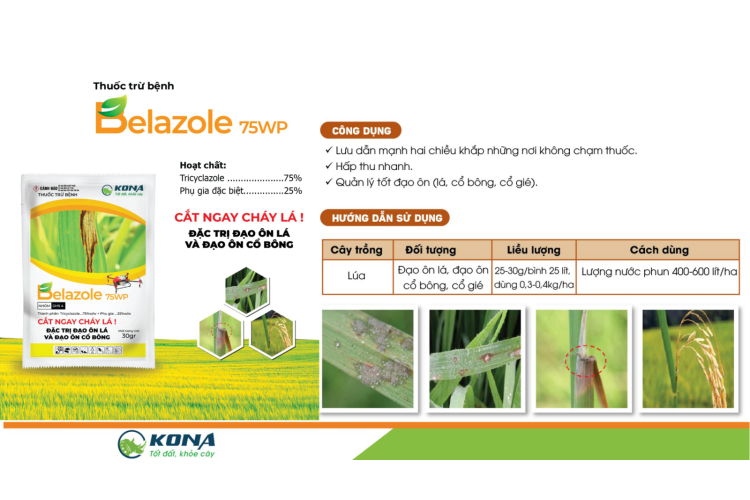 BELAZOLE 75WP KONA 