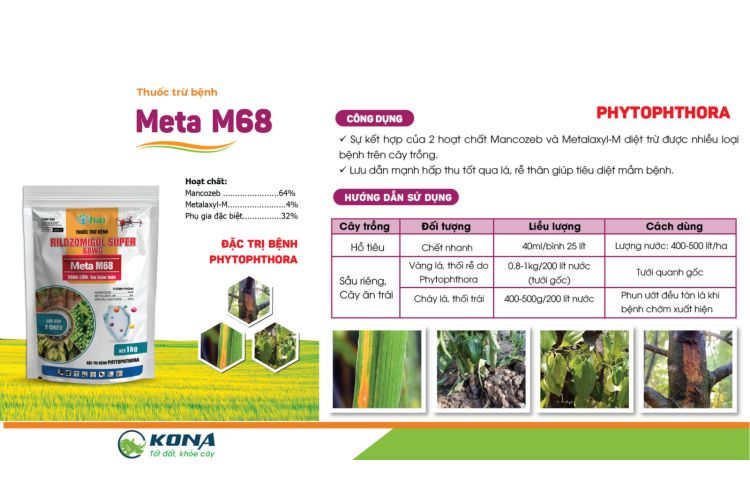 META M68  KONA