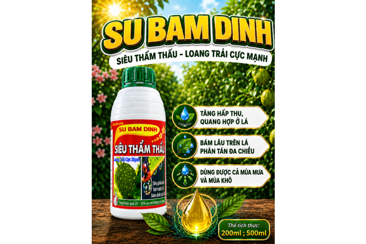 SU BÁM DÍNH - SIÊU THẨM THẤU (NCP)