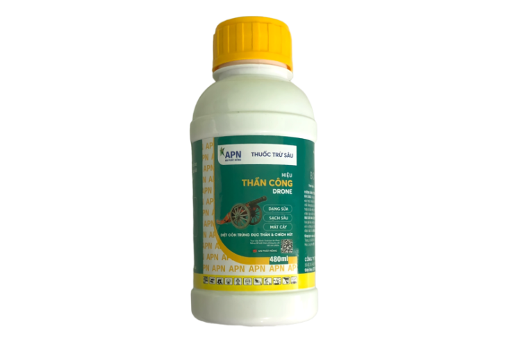 THẦN CÔNG APN