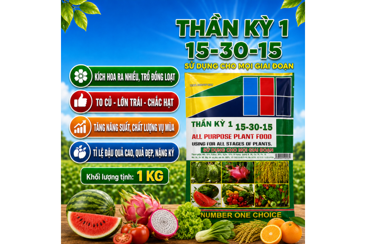 THẦN KỲ 1 (15-30-15) (NCP)