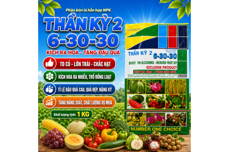 Phân bón lá NPK THẦN KỲ 2 (6-30-30)