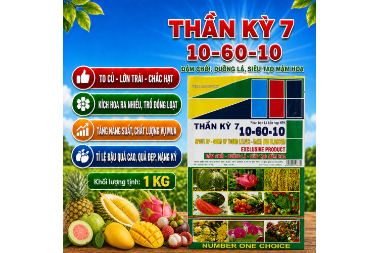 Phân bón lá hỗn hợp NPK THẦN KỲ 7 10-60-10 (NCP)