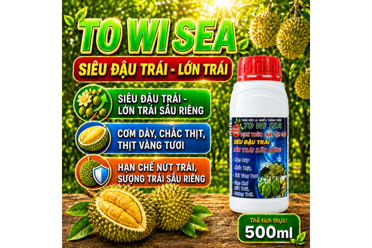 Phân bón lá TO WI SEA cho cây Sầu riêng (NCP)