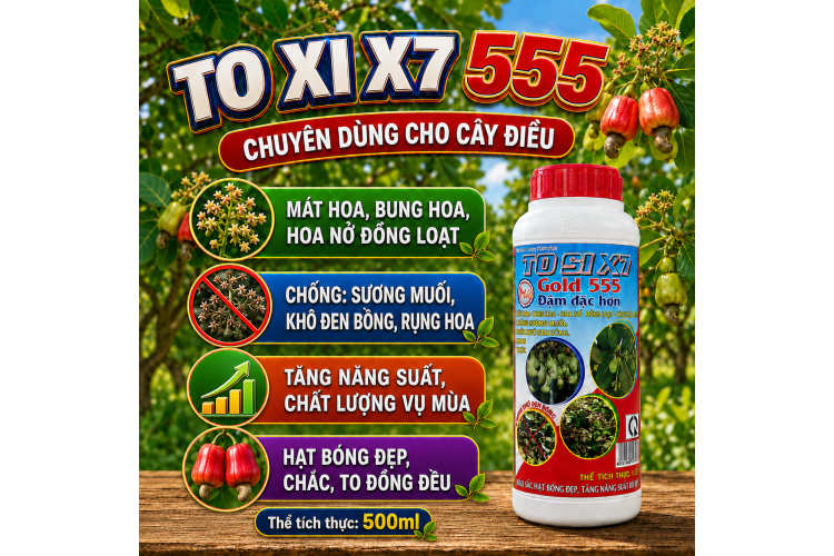 Phân bón TO XI X7 Gold 555 dùng cho cây Điều (NCP)