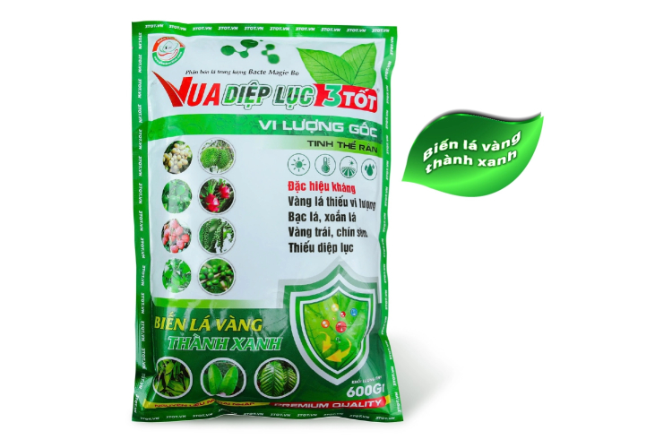 VUA DIỆP LỤC 3 TỐT
