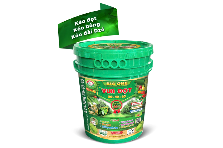 BIG ONE VUA ĐỌT 3 TỐT