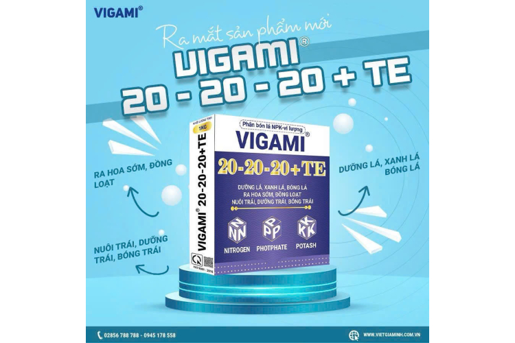 UIGAMI 20 - 20 - 20 TE