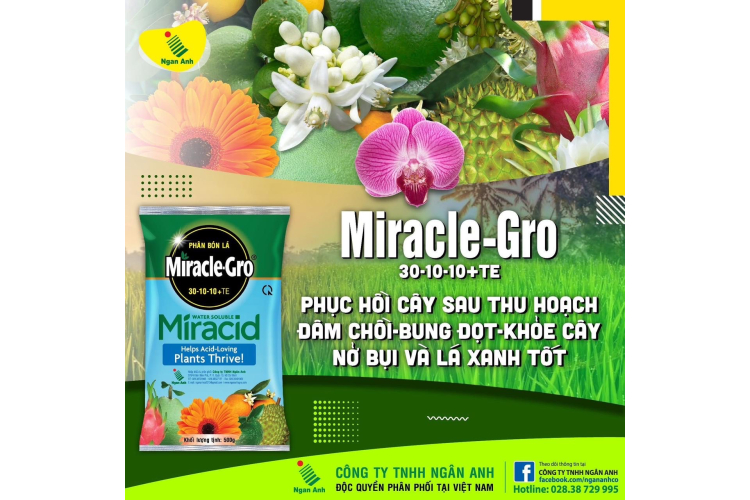 MIRACLE - GRO 30-10-10+TE