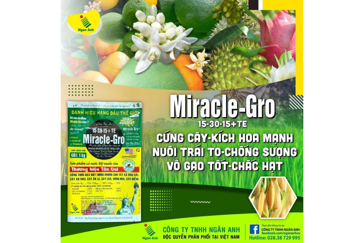 MIRACLE - GRO 15-30-15+TE