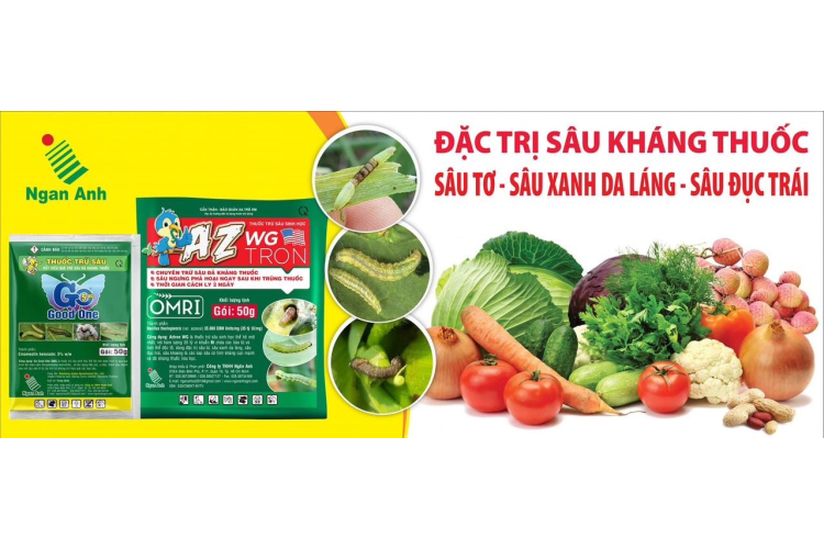 ĐẶC TRỊ SÂU KHÁNG THUỐC
