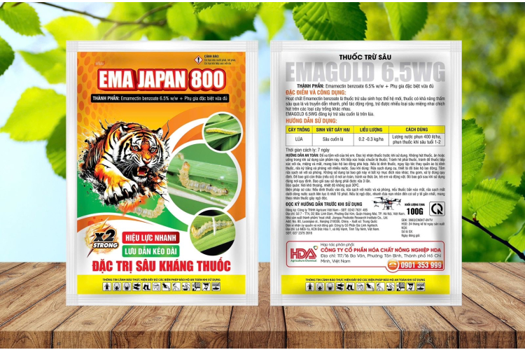 EMA JAPAN 800