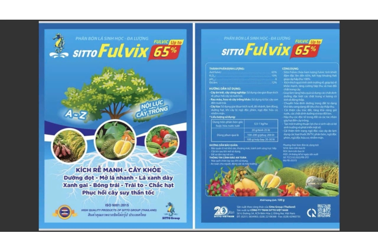 SITTO FULVIX