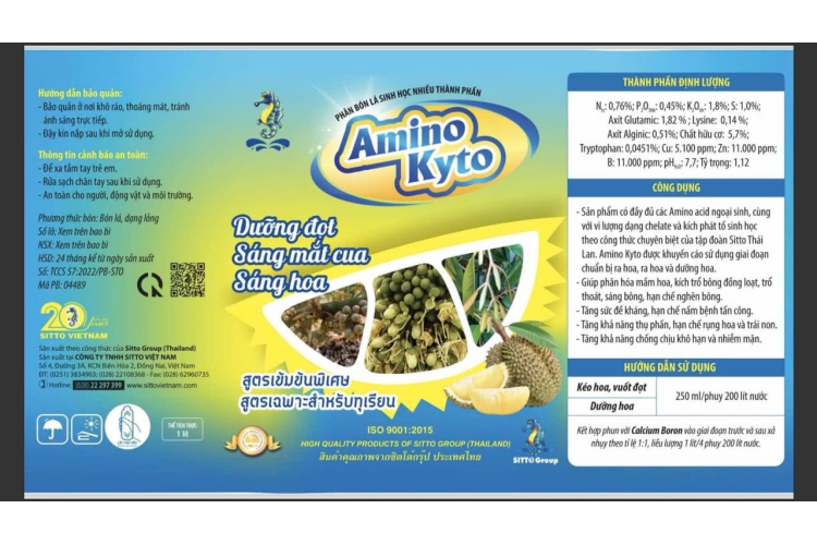AMINO KYTO