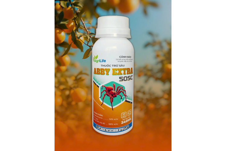 ABBY EXTRA