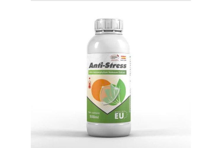 ANTI-STRESS
