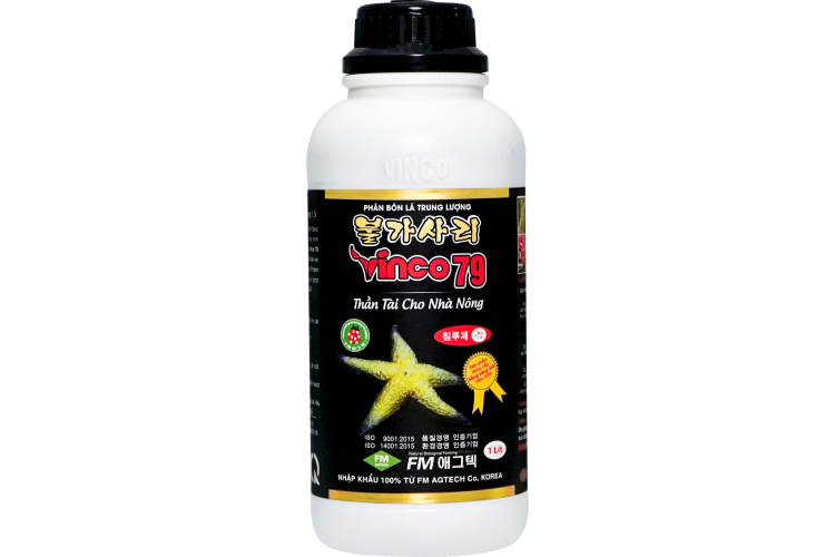 VINCO 79
